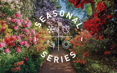 GROUNDED EVENTS INTRODUCE SEASONAL SERIES