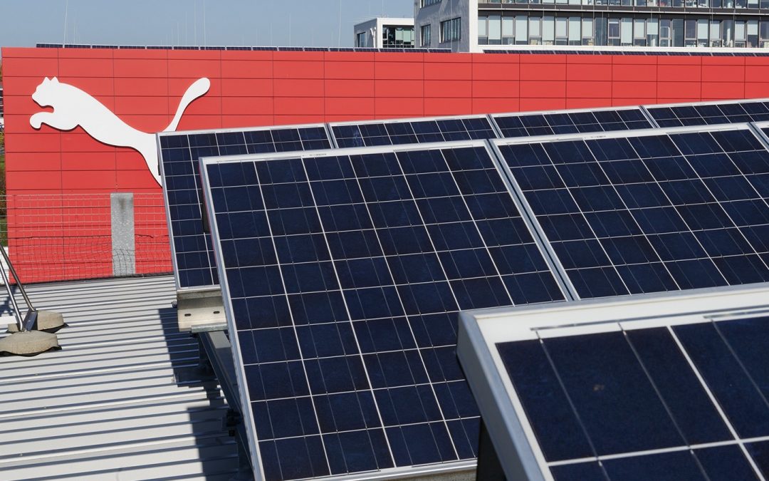 PUMA JOINS ZERO100 TO FIND INDUSTRY-WIDE SOLUTIONS TO REDUCE CARBON EMISSIONS