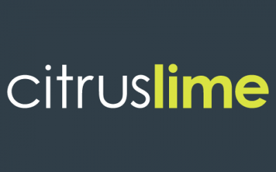 Citrus-Lime Retail Advice: Websites with detailed product info generate more online sales